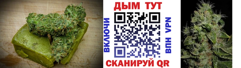 площадка телеграм  Сольцы  Canna-Cookies конопля 