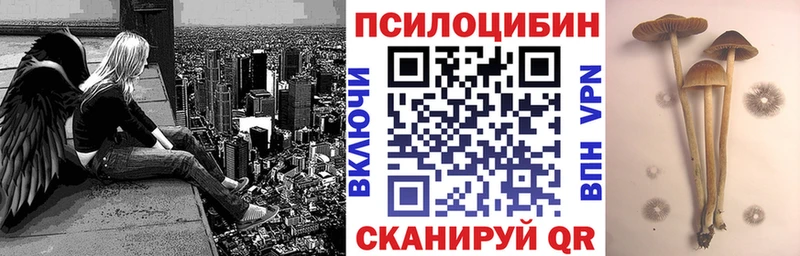 Псилоцибиновые грибы Psilocybine cubensis  Сольцы 