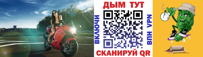 Конопля сатива Сольцы